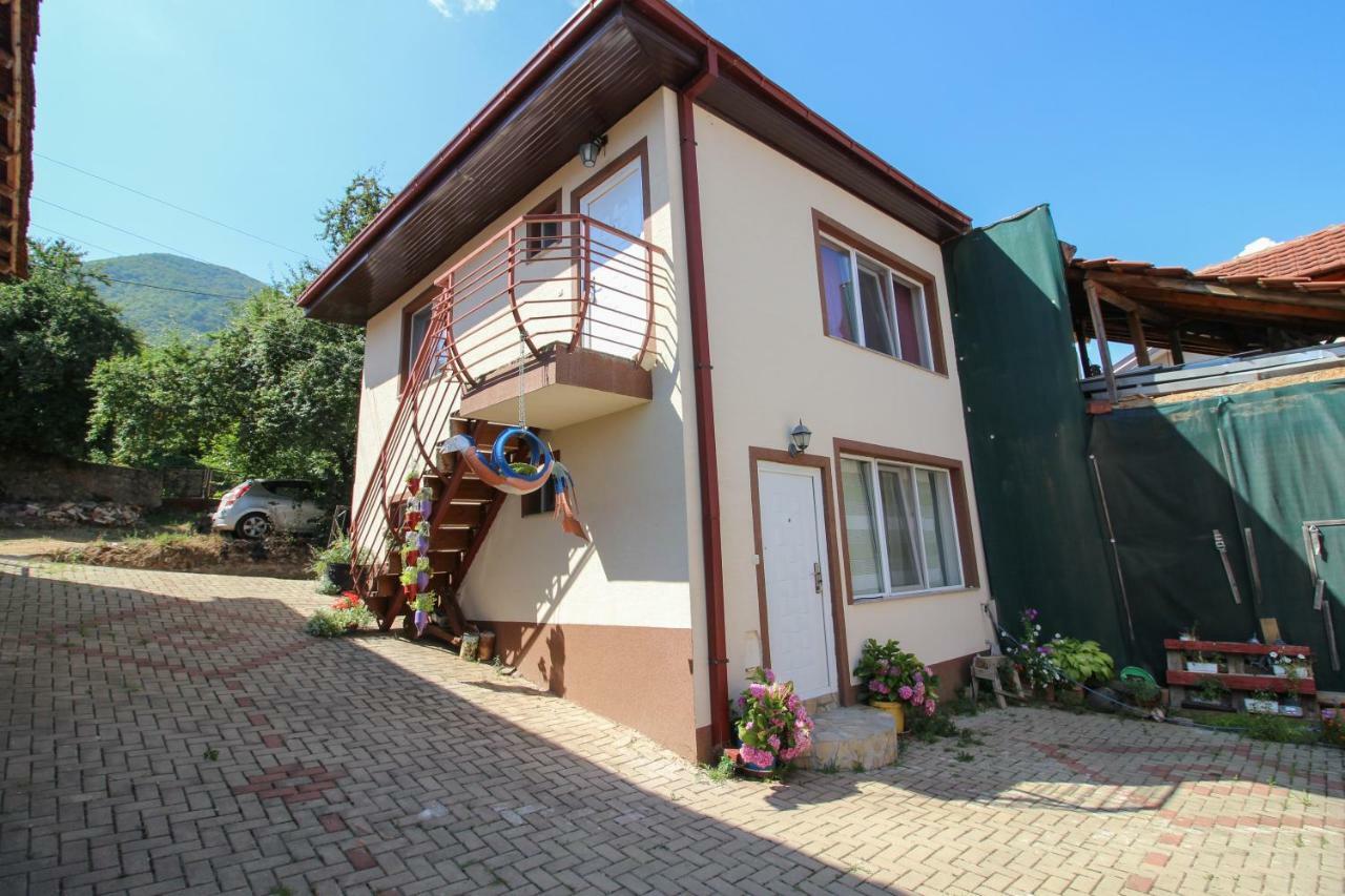 Apartmani Mishe Vevcani Экстерьер фото